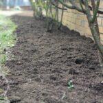 IMG_20230427_161911-min