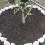 IMG_20230427_163056-min